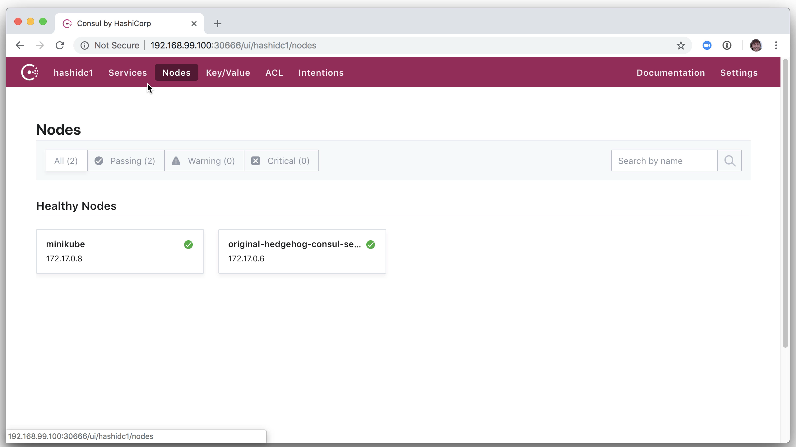 Minikube Consul UI
